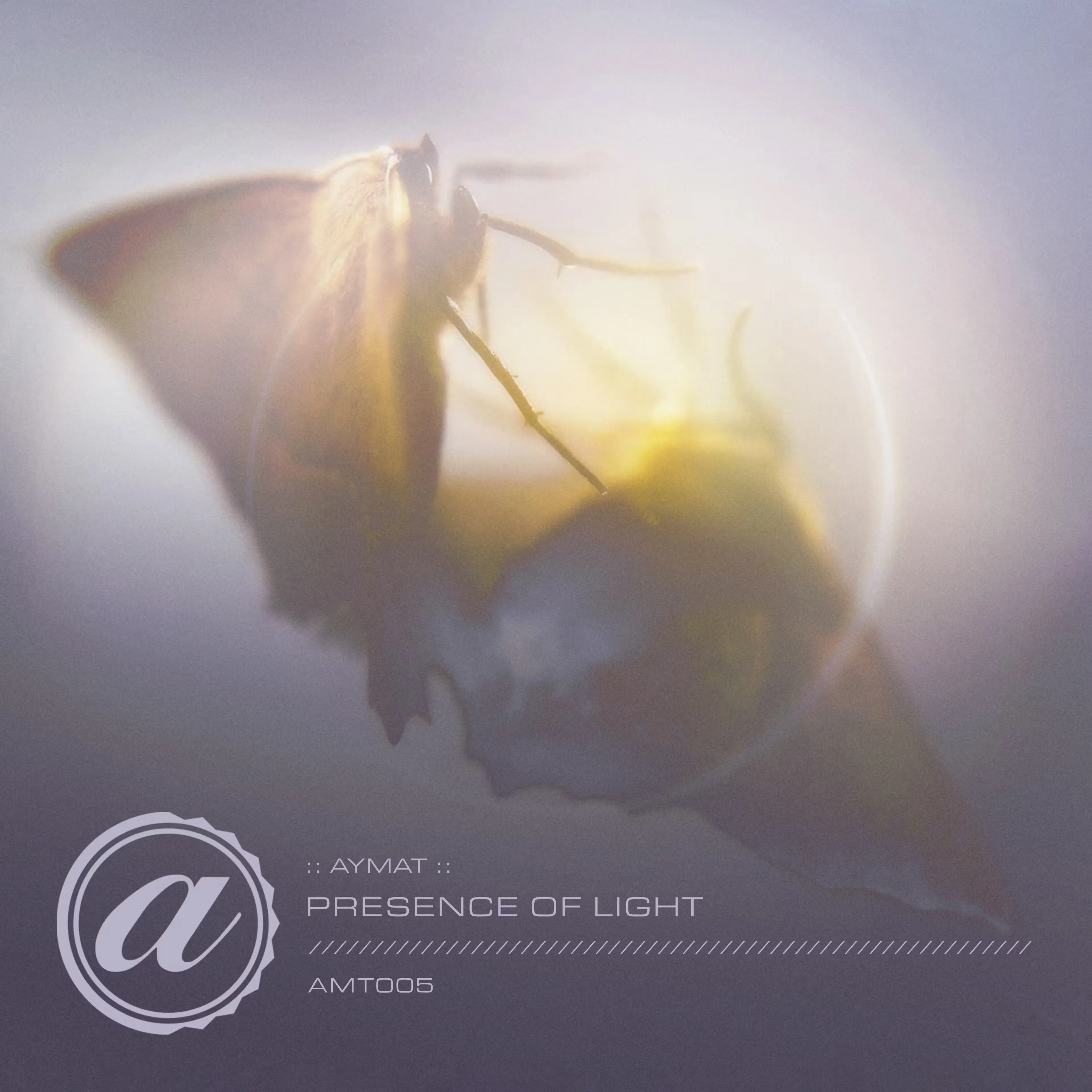 Digital album cover for the Aymat "Presence of Light" single track release, showing text and a stylized logo over a moth softly illuminated in a dreamy, ethereal glow. The delicate atmosphere suggests tranquility.
