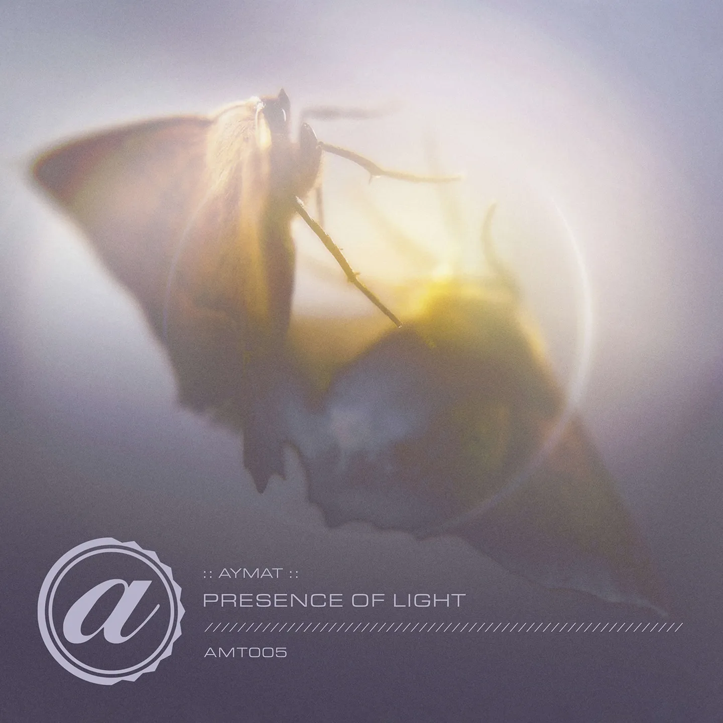 Digital album cover for the Aymat "Presence of Light" single track release, showing text and a stylized logo over a moth softly illuminated in a dreamy, ethereal glow. The delicate atmosphere suggests tranquility.