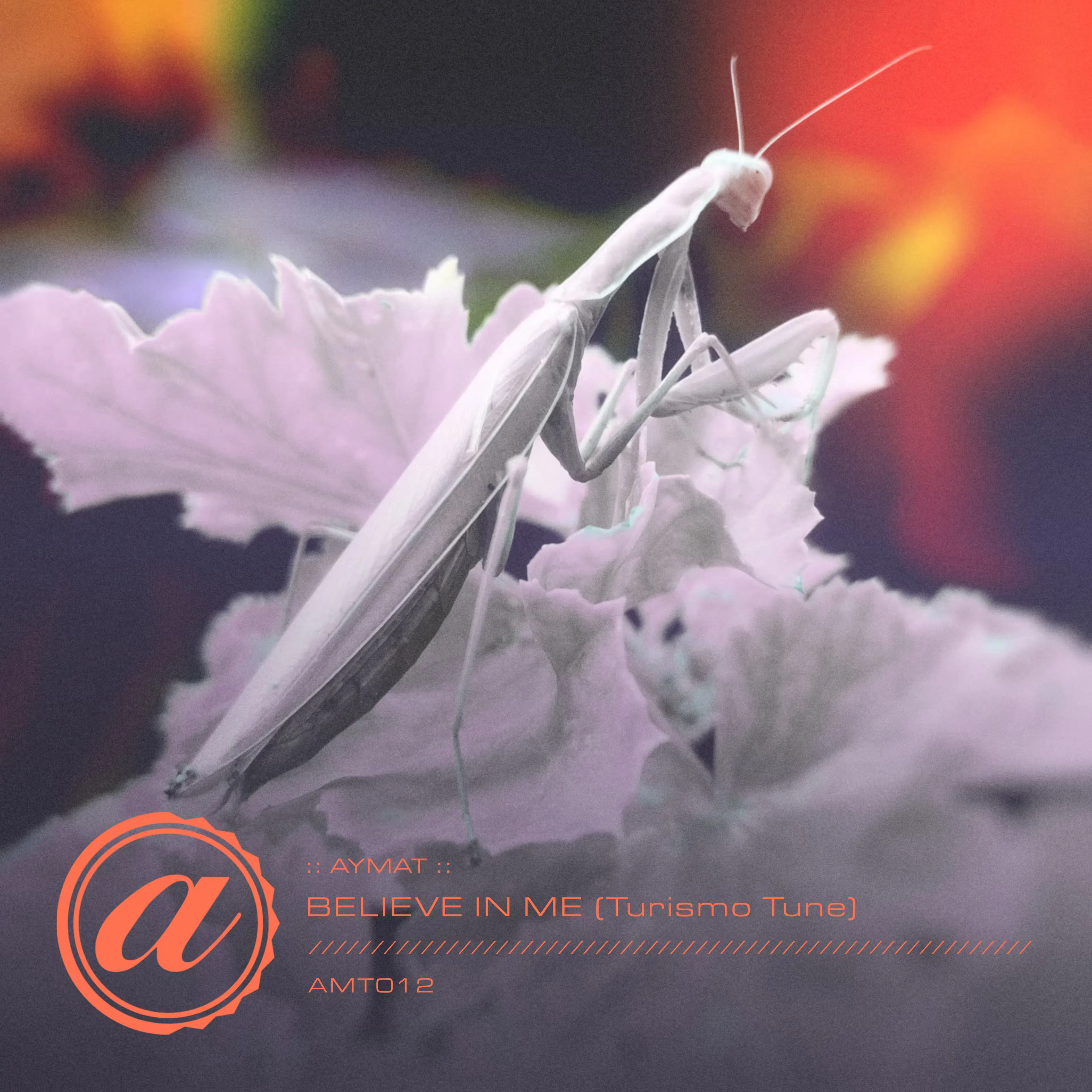 Digital album cover for the Aymat "Believe In Me (Turbo Tune)" single track release, showing text and a stylized logo over abstract artwork of a praying mantis perched on pale leaves with a blurred red and yellow background, creating a dreamy, ethereal vibe.