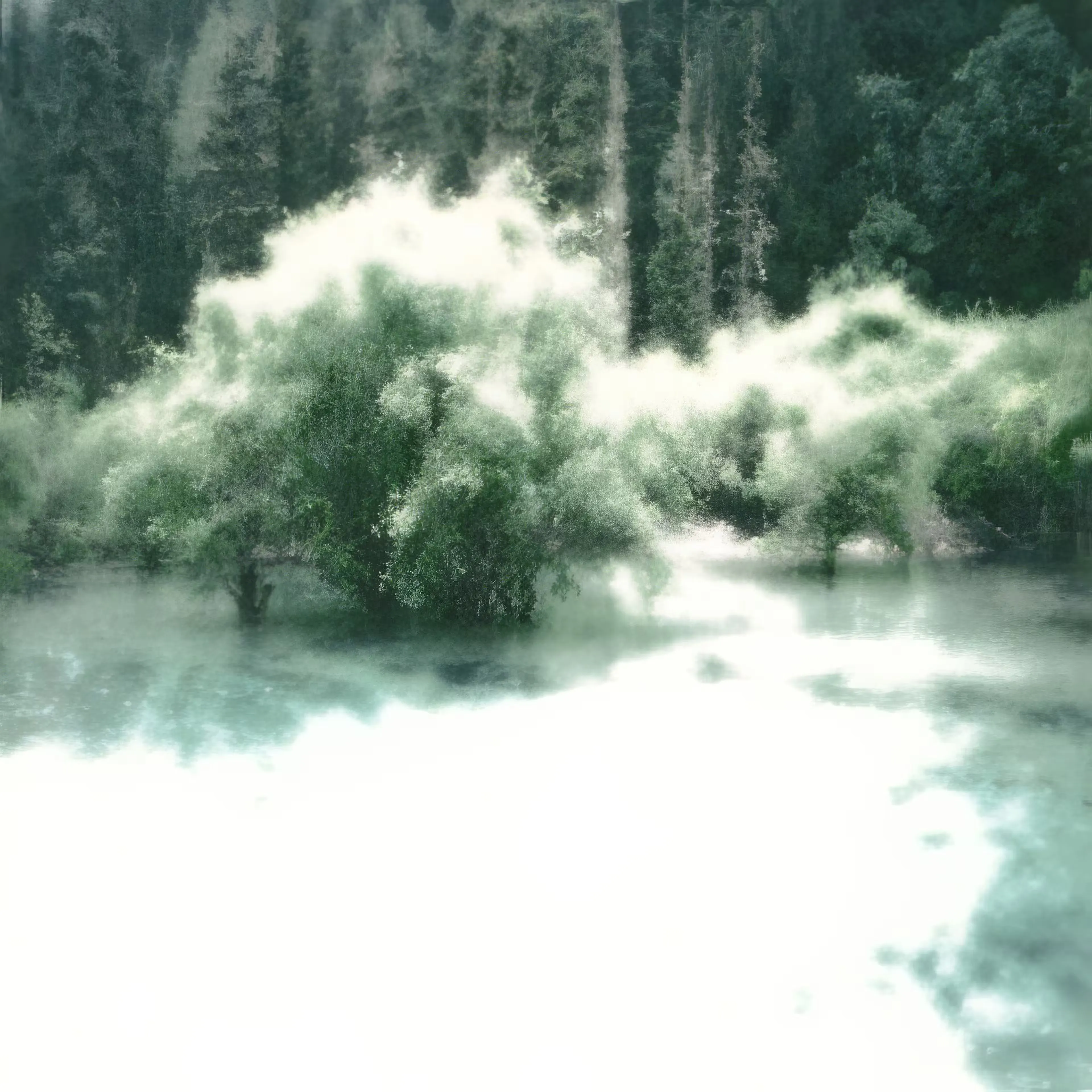 Digital album cover for the Arc of Doves "Impressions" album release, showing a misty forest scene with sunlight filtering through dense green trees, reflected on a serene water surface, creating a calm and ethereal atmosphere.