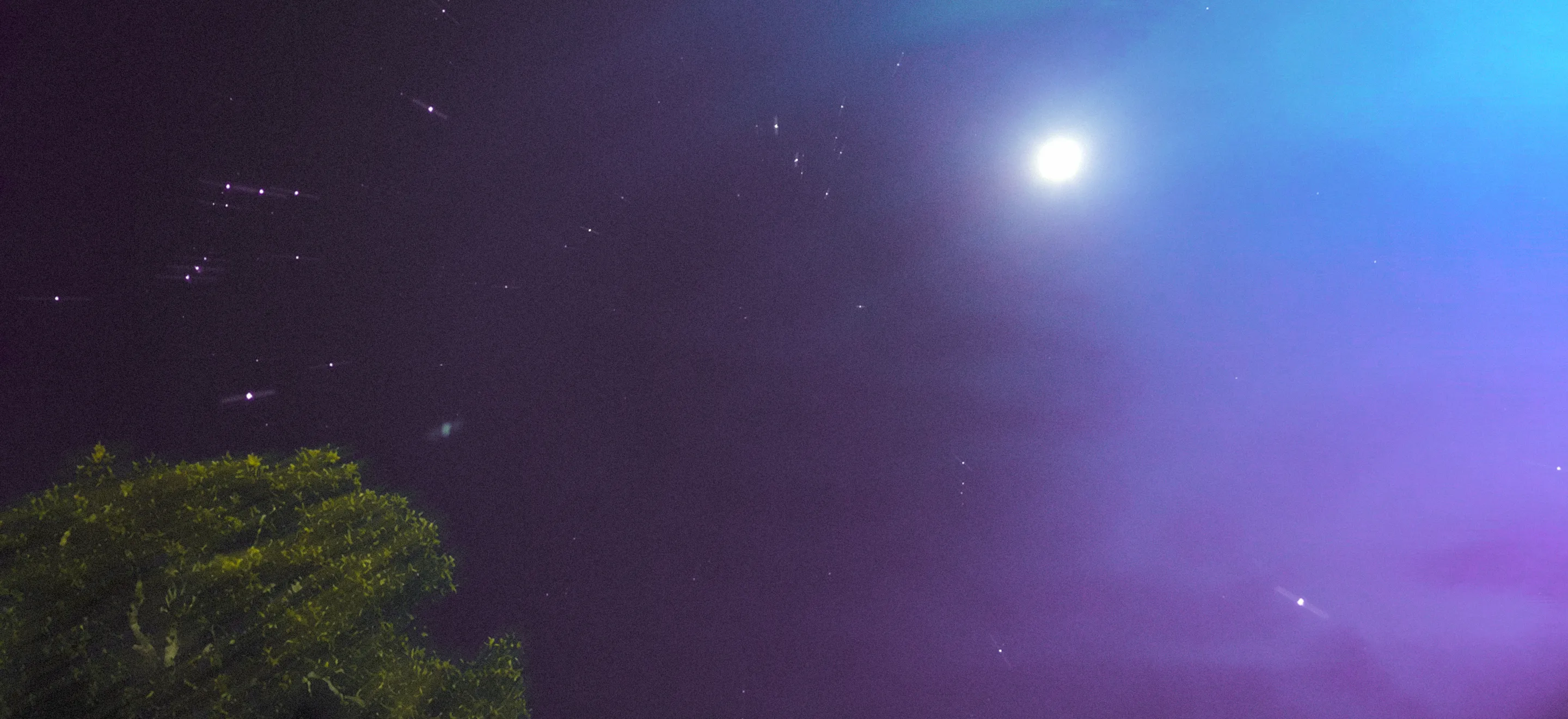 Long exposure night sky with a bright full moon glowing through purple and blue haze, star trails, and the top of a tree in the corner.